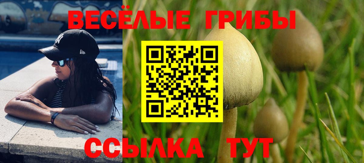 купить наркотики сайты  Псилоцибиновые грибы мухоморы  Псилоцибиновые грибы GOLDEN TEACHER  Вход с VPN  Лесозаводск 